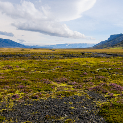 ijsland 2013